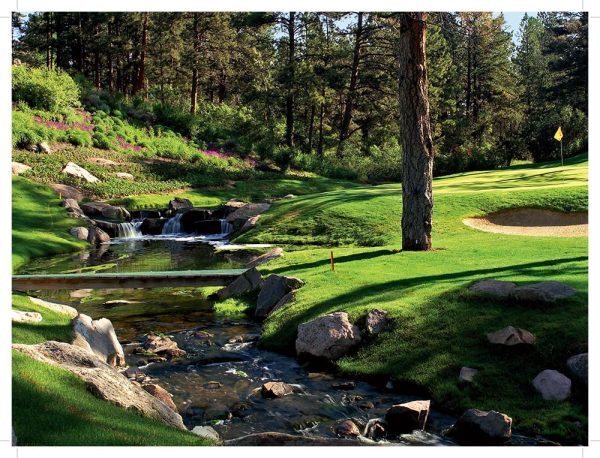 Spectacular Golf of Colorado - Image 3